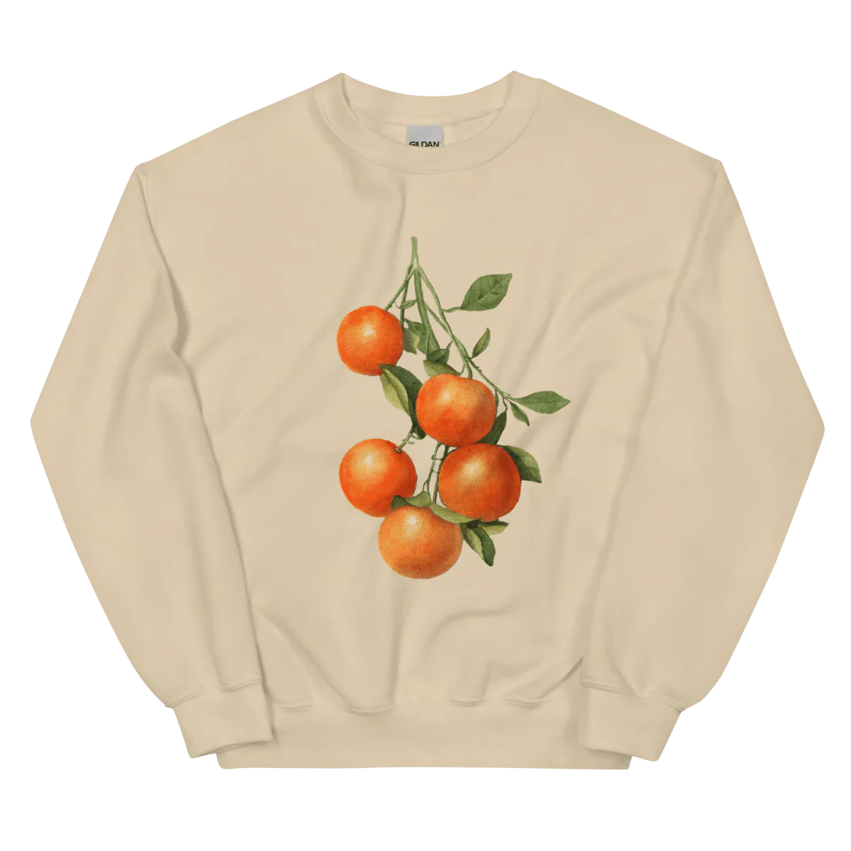 Oranges š Sweatshirt - Image 3