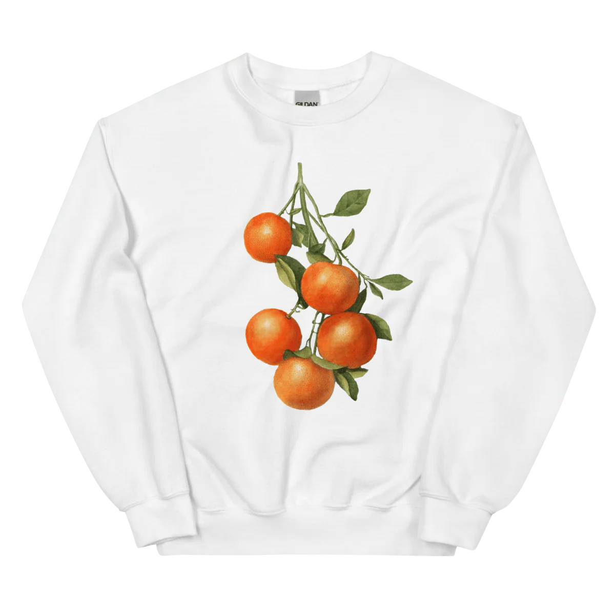 Oranges š Sweatshirt - Image 5