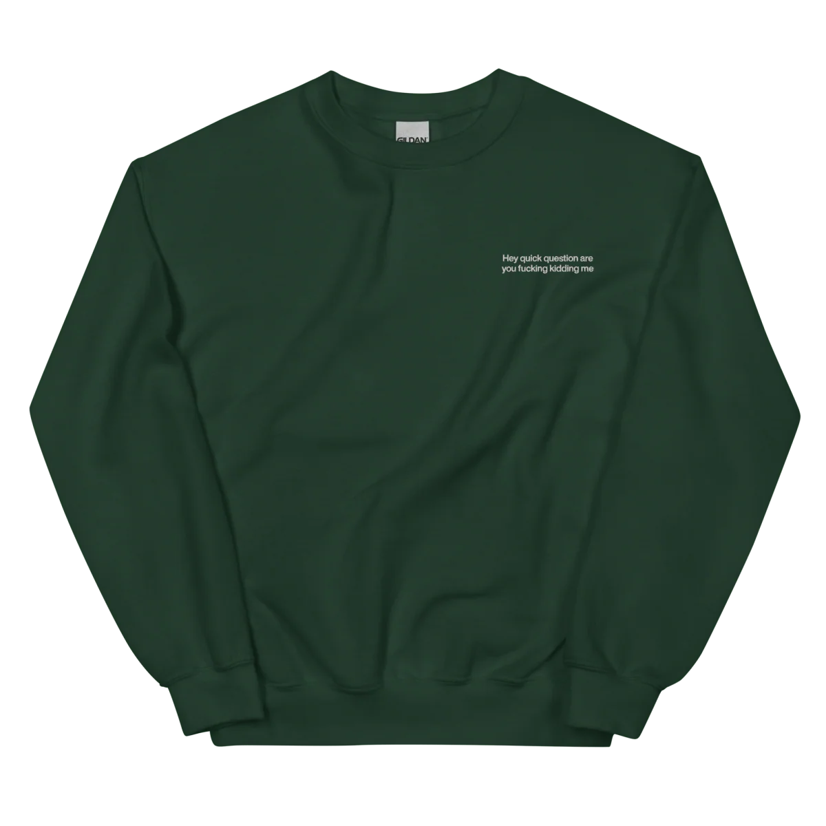 Hey quick question are you fucking kidding me. Embroidered Sweatshirt - Image 4