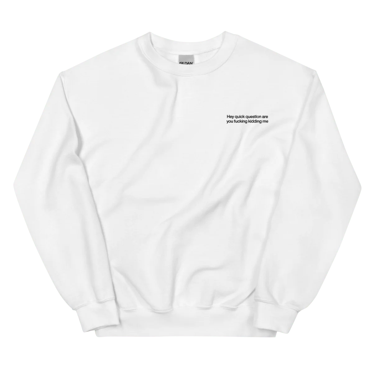 Hey quick question are you fucking kidding me. Embroidered Sweatshirt - Image 5