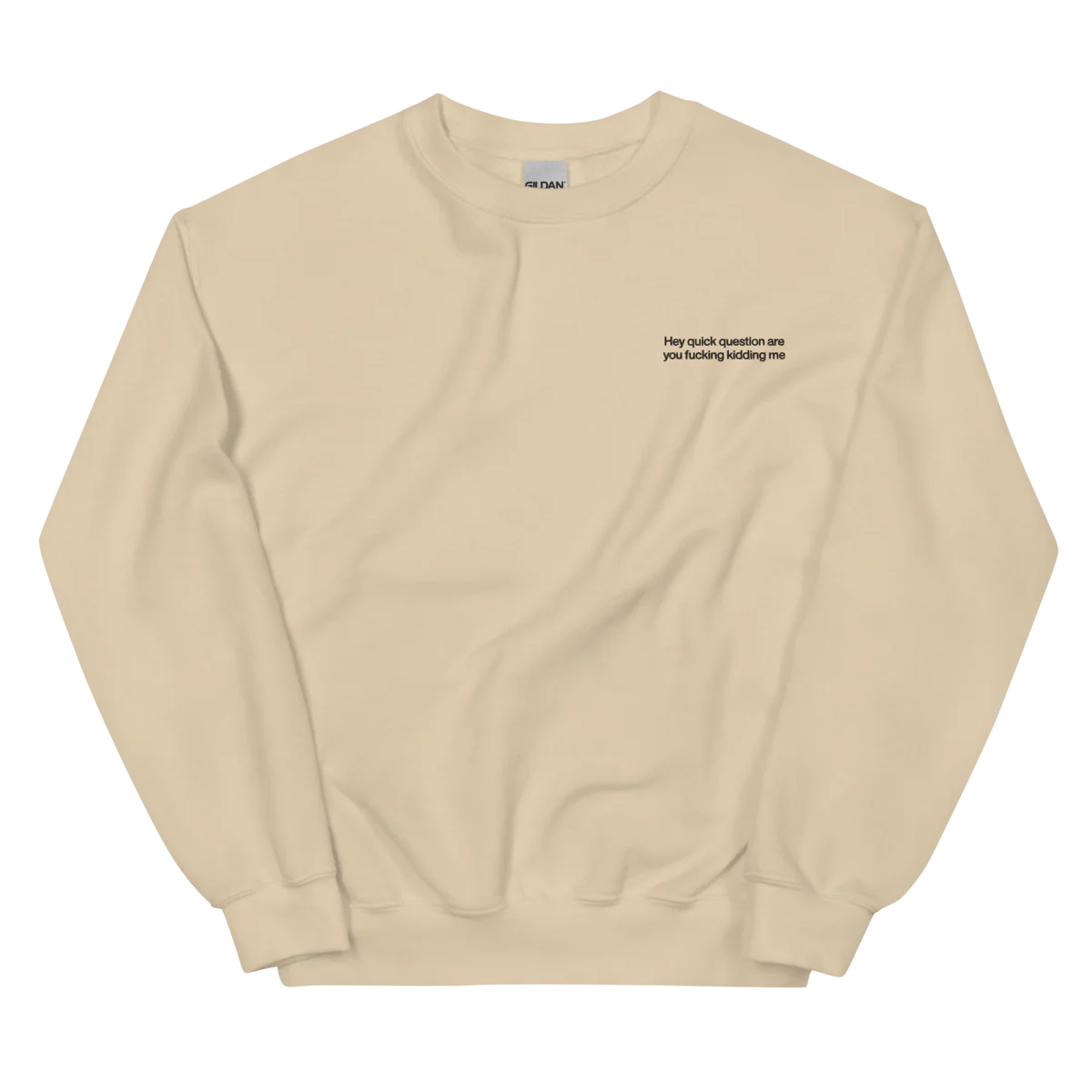 Hey quick question are you fucking kidding me. Embroidered Sweatshirt - Image 6
